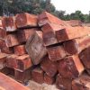 Gỗ kiền kiền là gì ?
