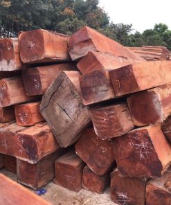 Gỗ kiền kiền là gì ?
