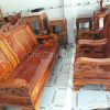 Gỗ Tràm là gì ? So sánh giữa cây tràm lai và cây tràm bông vàng