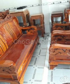 Gỗ Tràm là gì ? So sánh giữa cây tràm lai và cây tràm bông vàng