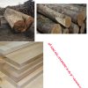 GỖ SUNG DÂU (SYCAMORE)