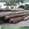 Cách tính gỗ tròn: Hướng dẫn đo đường kính cây gỗ tròn để tính khối lượng