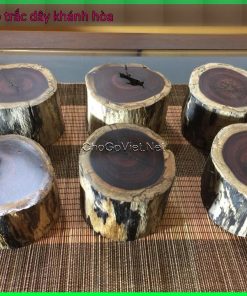Gỗ trắc dây Khánh Hòa là gì ? Phân biệt gỗ trắc dây và gỗ trắc chính thống