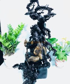Gỗ mun sừng là gì ? Lý do chọn Gỗ Mun Sừng Khánh Hòa