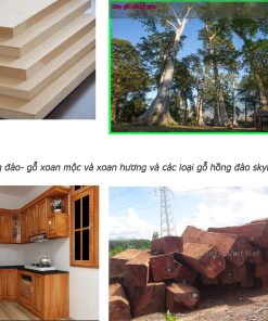 Gỗ hồng đào là gỗ gì ? Các loại gỗ hồng đào
