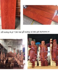 Gỗ hương là gỗ gì ? Đặc điểm chung của gỗ hương là gì ?