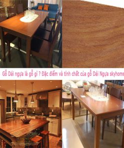 Gỗ Dái ngựa là gì ? Đặc điểm của gỗ dái ngựa