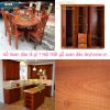 Gỗ Xoan Đào là gì ? Đặc điểm chất gỗ Xoan