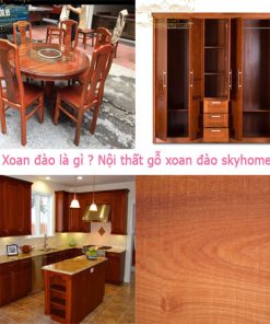 Gỗ Xoan Đào là gì ? Đặc điểm chất gỗ Xoan