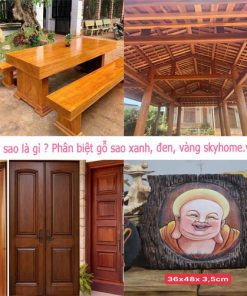 Gỗ sao là gì ? Các loại gỗ sao