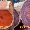 So sánh gỗ hương đá và gỗ cẩm lai Nam Phi