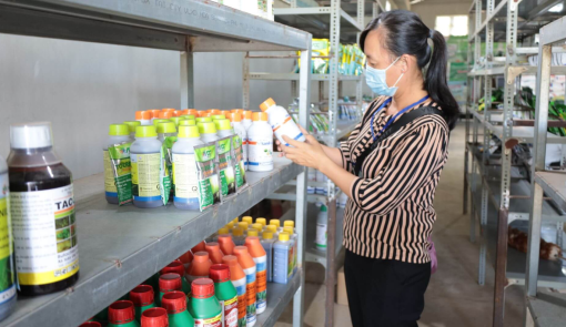Thiet ke cua hang vat tu nong nghiep 5